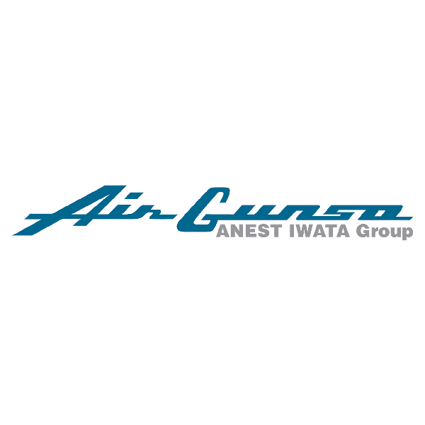pistoale de vopsit Air Gunsa