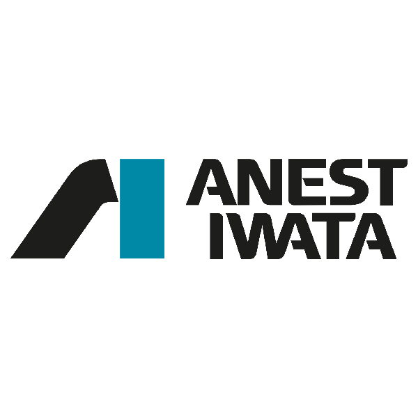 anest iwata Romania